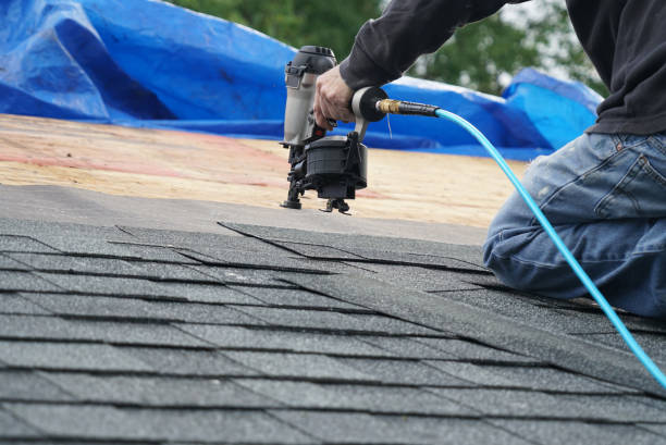 Best Roof Gutter Cleaning  in Bloomingdale, FL
